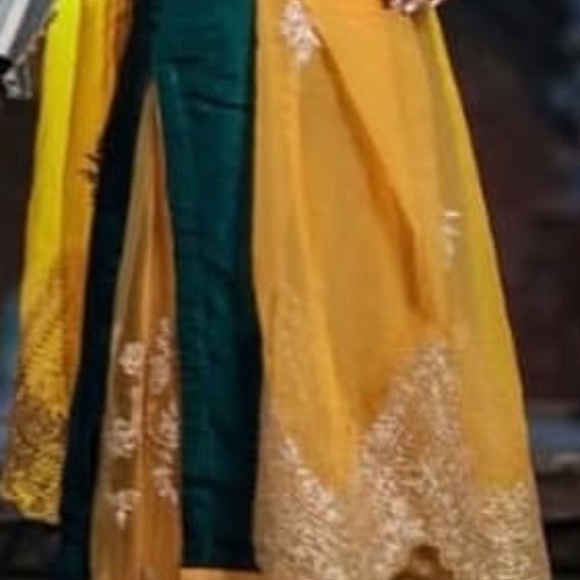 Punjabi suit - Picture 4 of 13